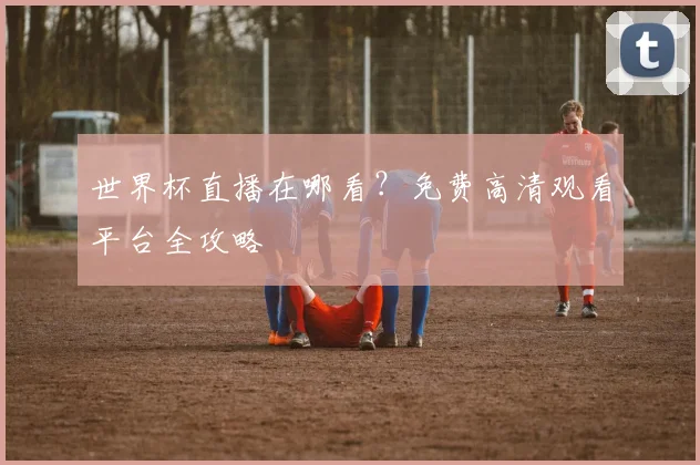 世界杯直播在哪看?免费高清观看平台全攻略