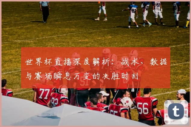 世界杯直播深度解析：战术、数据与赛场瞬息万变的决胜时刻